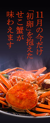 松葉ガニとせこ蟹