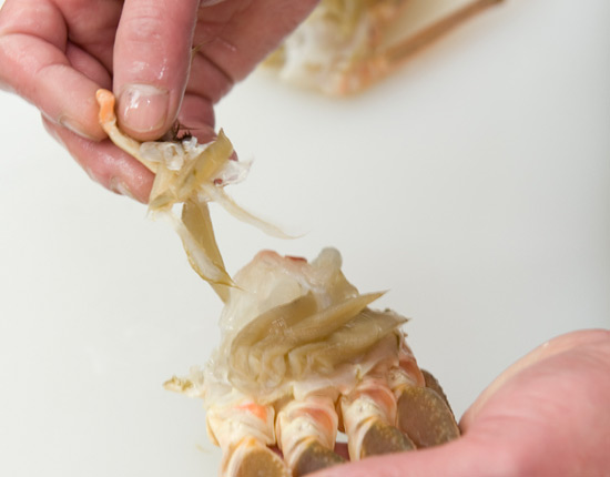 松葉蟹の美味しいさばき方 うまいもんの取り寄せ 産直品 グルメギフト