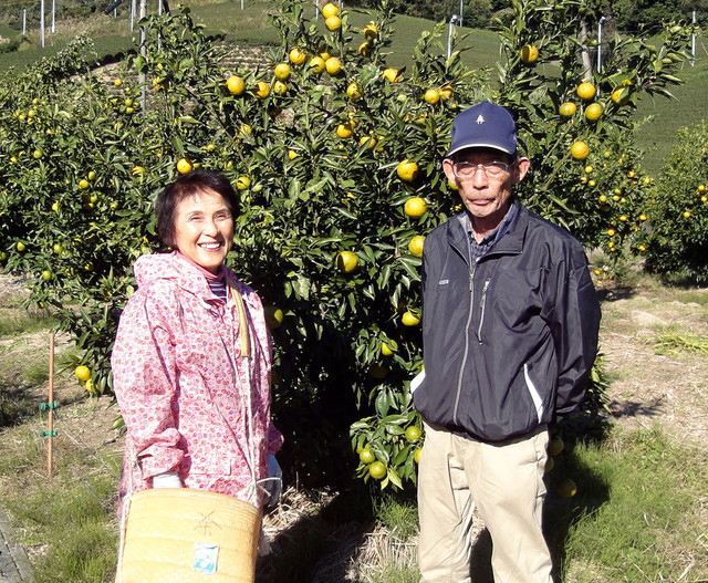 いたくらさんちのじゃばら 静岡県産 約2kg 16玉前後 2箱まで同梱可 常温 うまいもんの取り寄せ 産直品 グルメギフト