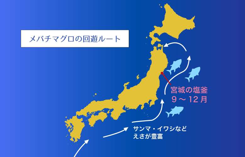 ヤマコ武田商店 三陸塩竈ひがしもの めばちまぐろ 赤身 中トロ 各1柵 宮城県塩釜水揚げ 計約500g 冷蔵 お取り寄せグルメ通販 美味厳選ギフト うまいもんドットコム
