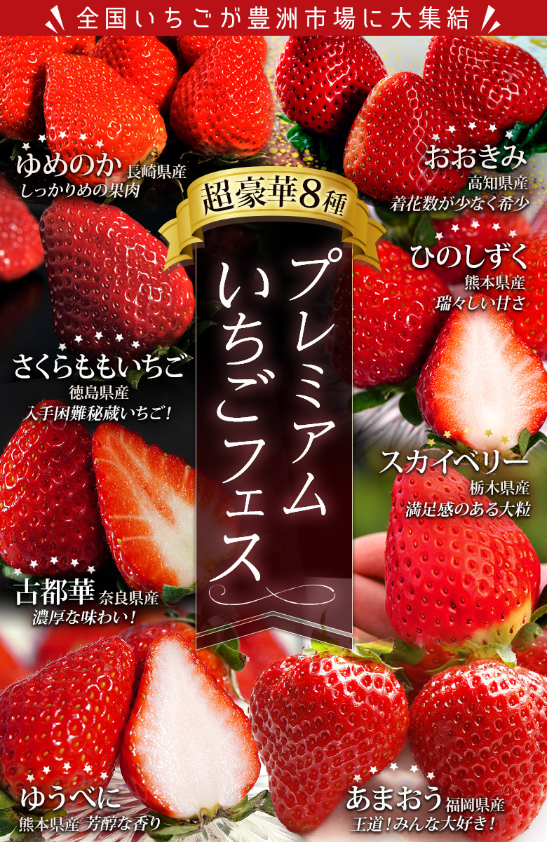 8品種 大集結 プレミアムいちごフェス 合計約2kg 冷蔵 お取り寄せグルメ ギフト通販 うまいもんドットコム 8品種 大集結 プレミアムいちごフェス 合計約2kg 冷蔵 お取り寄せグルメ ギフト通販 うまいもんドットコム