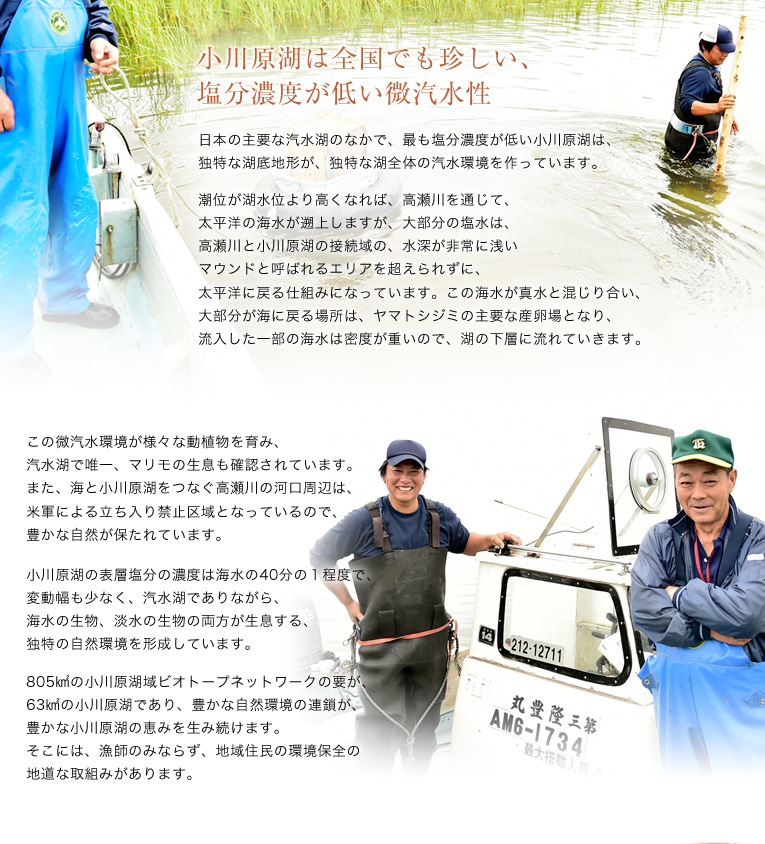 青森の宝沼 小川原湖 うまいもんの取り寄せ 産直グルメ