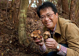 慎重に松葉や土を取り除くと、そこには芳香を漂わせる松茸(まつたけ)が出現!感動です