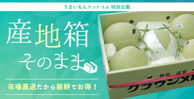 旬の食材を産地箱そのままお届け!市場直送だから新鮮でお得!