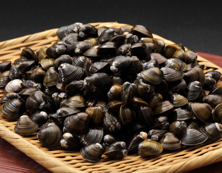 琵琶湖特産 セタシジミ 砂抜き 約500g 冷蔵 うまいもんの取り寄せ 産直品 グルメギフト