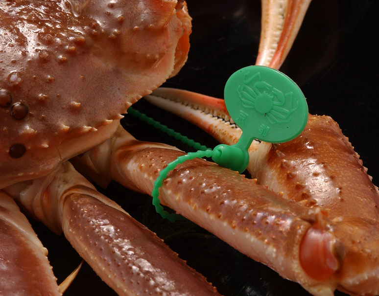 茹で 京丹後産限定 大善ガニ間人ガニ たいざがに 特撰 1杯 10g級 特大サイズ 丹後半島沖産 冷蔵 うまいもんの取り寄せ 産直品 グルメギフト