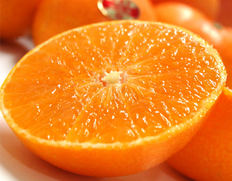 愛媛 紅まどんな