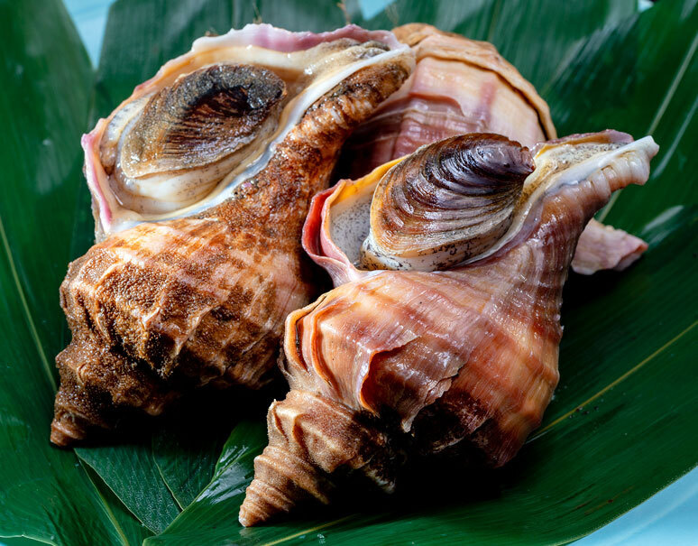 真つぶ貝 北海道産 1個 約300g 冷蔵 うまいもんの取り寄せ 産直品 グルメギフト