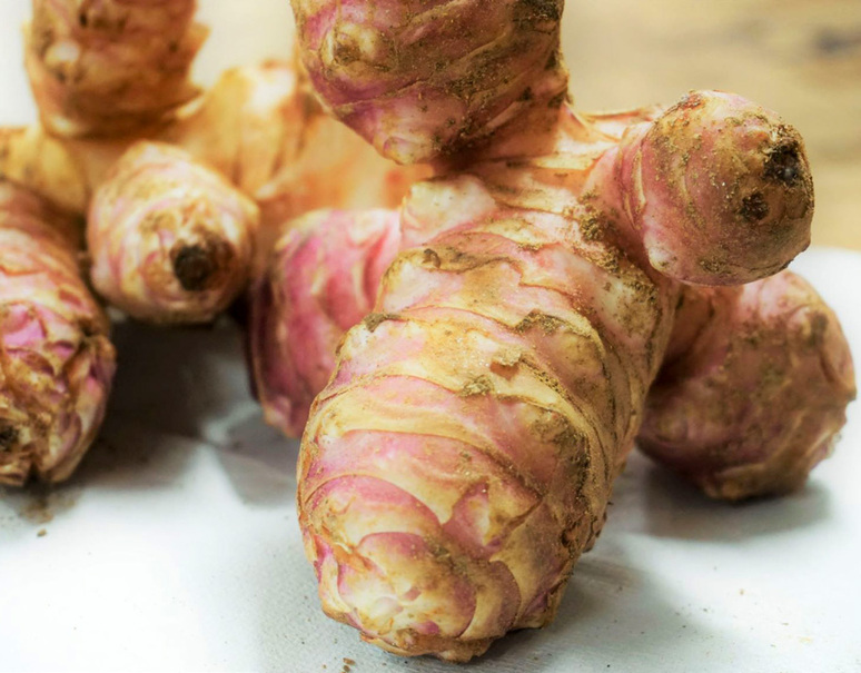 菊芋 赤菊芋 佐賀県産 約2kg 常温 うまいもんのお取り寄せ 産直品 グルメギフト