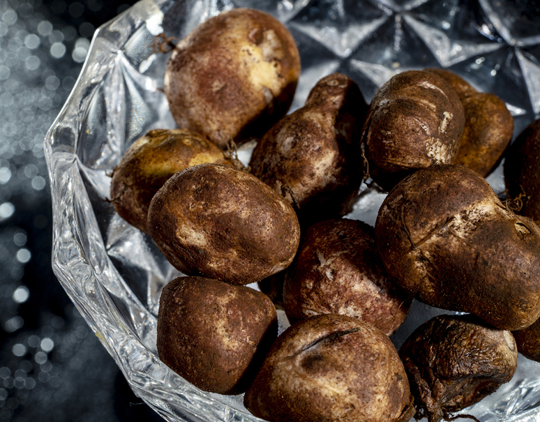 松露 しょうろ 茨城県産 約50g 中 小サイズ 冷蔵 豊洲市場出荷 うまいもんの取り寄せ 産直品 グルメギフト