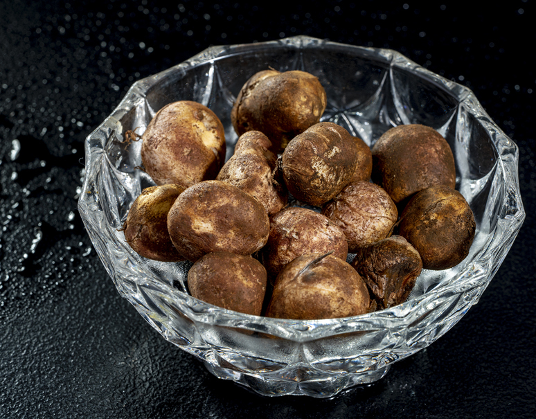 松露 しょうろ 茨城県産 約50g 中 小サイズ 冷蔵 豊洲市場出荷 うまいもんの取り寄せ 産直品 グルメギフト