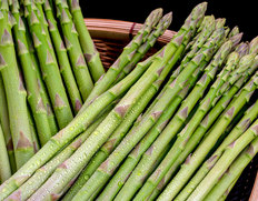 アスパラガスの取り寄せ 産直品 グルメギフト うまいもんドットコム
