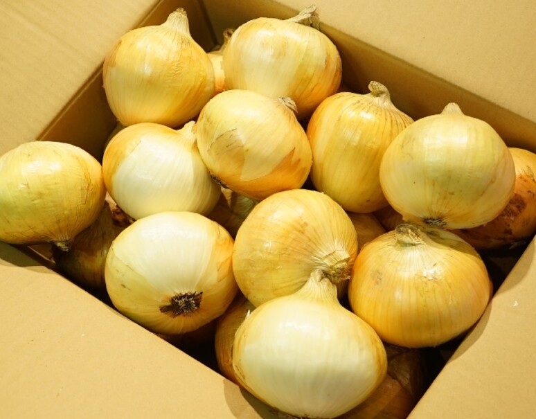産地応援価格 新たまねぎ 千葉県白子町産 A品 Llサイズ 約10kg 22 26玉程度 常温 お取り寄せグルメ通販 美味厳選ギフト うまいもんドットコム