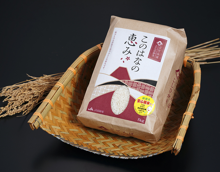 ごてんばこしひかり このはなの恵み 精米 5kg 常温 うまいもんの取り寄せ 産直品 グルメギフト