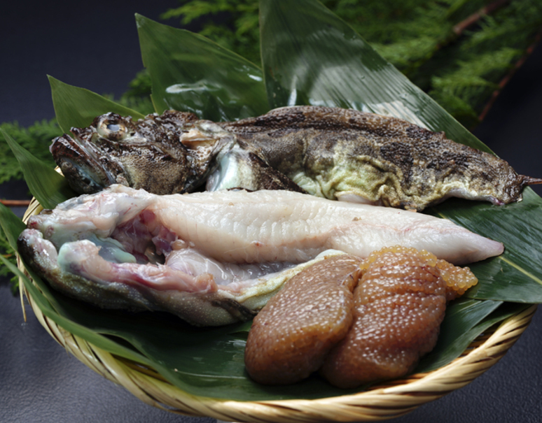 海の恵み食の底力japan特設 北海道 函館 カジカ 天然 うまいもんの取り寄せ 産直品 グルメギフト