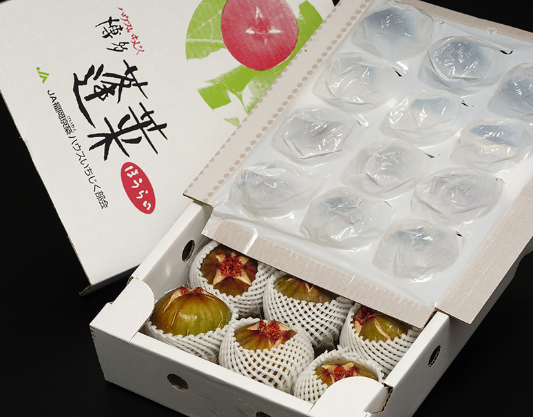 JA福岡京築　『蓬莱柿（ほうらいし）』いちじく 特秀品　約1kg（7〜9玉）　産地箱　u203b冷蔵