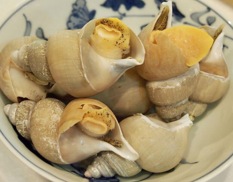 白バイ貝 島根県産 約500g 約50 100g 個 冷蔵 三清 お取り寄せグルメ通販 美味厳選ギフト うまいもんドットコム