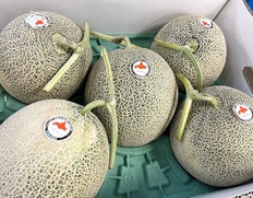 お取り寄せグルメ「メロン」うまいもんドットコム|美味厳選ギフト