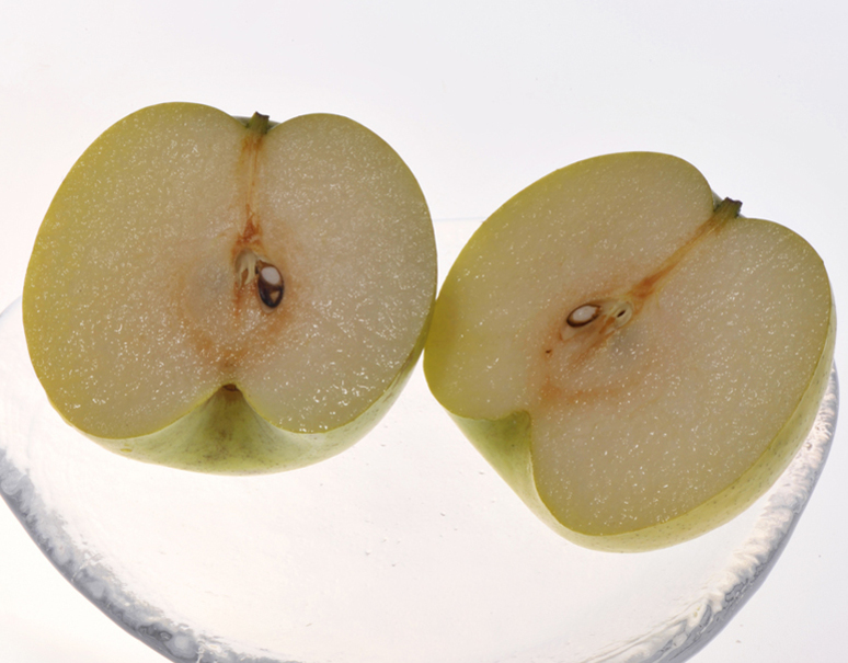 完売御礼 30箱限定 青梨の新品種 なつしずく 富山産 約3kg 7 10玉 お取り寄せグルメ通販 美味厳選ギフト うまいもんドットコム